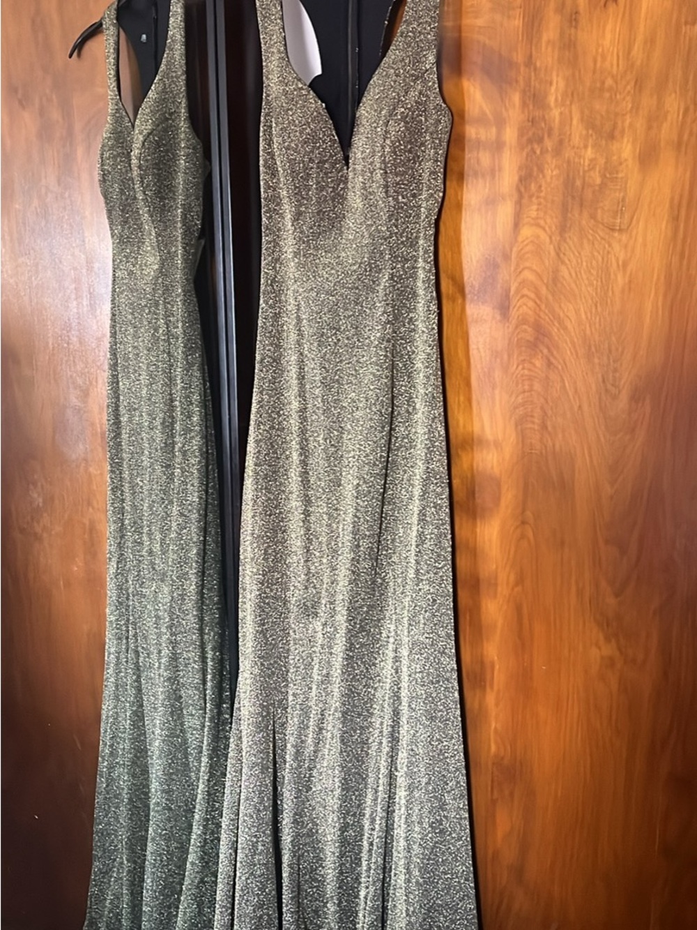 Elegant Sleeveless Silver Shimmer Evening Gown